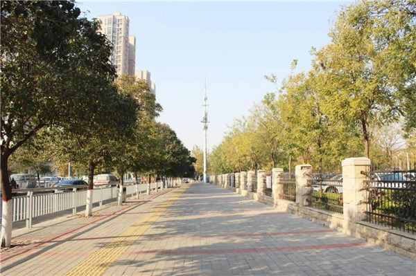 云和公司外景 云和公司外景